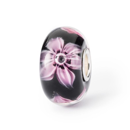 Trollbeads, Set Magia d'Autunno | SAYA SHOP ONLINE