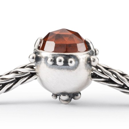 Trollbeads beads, Dono dell'Amicizia | SAYA SHOP ONLINE