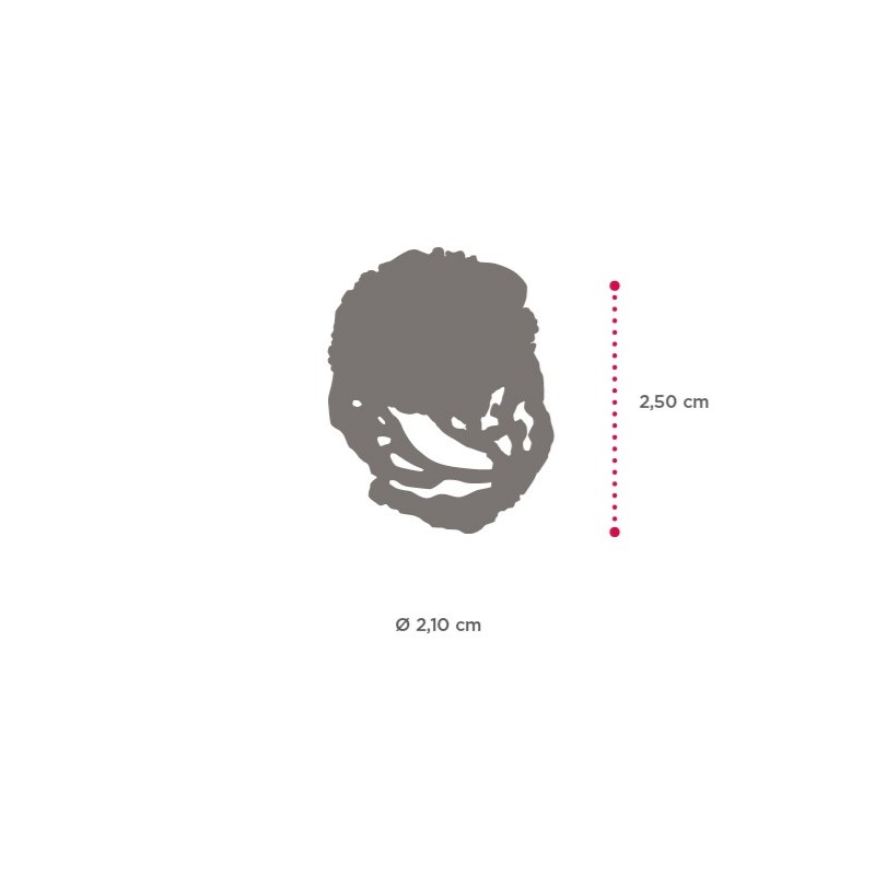 Anello Stella Riccio | SAYA SHOP ONLINE