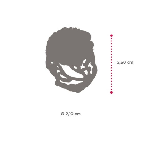 Anello Stella Riccio | SAYA SHOP ONLINE