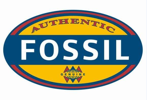 Fossil jewels